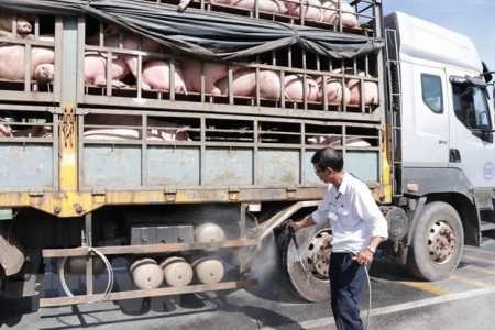 Long An kiểm tra, ngăn chặn các sản phẩm từ động vật nhập lậu qua biên giới