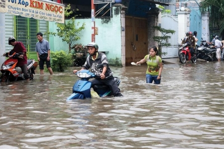 TP. Hồ Chí Minh: Bảo đảm an toàn trong mùa mưa bão 2024