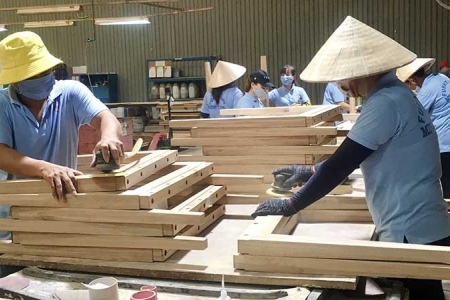 Doanh nghiệp xuất khẩu gỗ đáp ứng những quy định mới