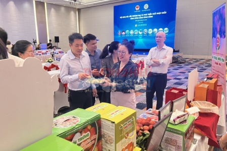 Gốc tích trái vải “Vua” giá đắt đỏ được “thượng đế” săn lùng cháy hàng