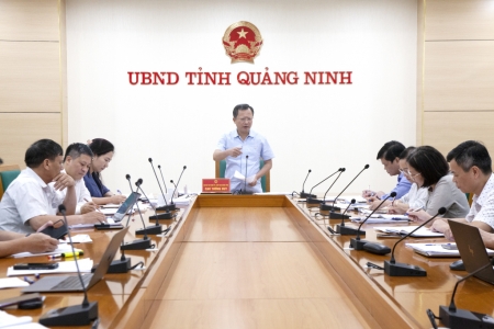 Quảng Ninh: Khẩn trương công bố các hành trình tham quan, du lịch trên vịnh Hạ Long và Bái Tử Long