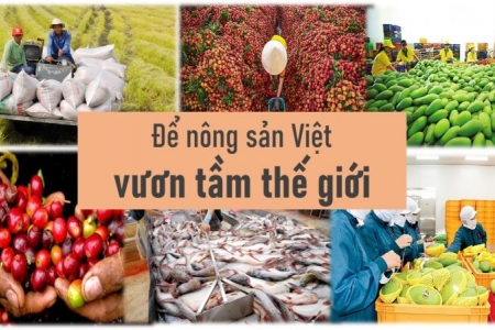 FTA - hỗ trợ nâng tầm nông sản Việt Nam xuất khẩu như thế nào?