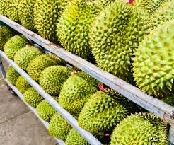 Giá sầu riêng hôm nay 7/7: Sầu Thái biến động