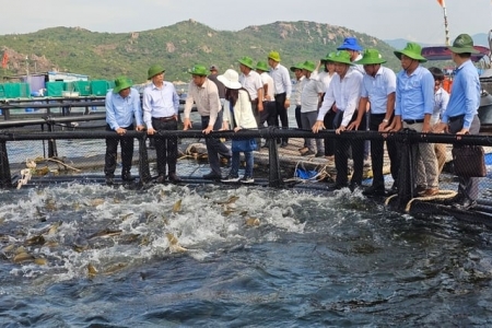 Nuôi thủy sản vùng biển hở: Giảm khai thác để gỡ thẻ vàng?