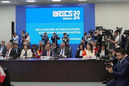 Việt Nam tham dự Phiên “Đối thoại BRICS với các nước đang phát triển”