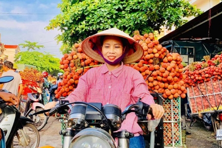 Nhiều điểm thu mua vải thiều ở huyện Lục Ngạn tạm nghỉ vì giá vải cao, thiếu nguồn cung