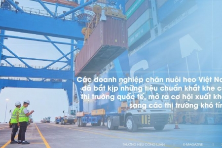 Bức tranh sáng màu cho ngành chăn nuôi heo ở Việt Nam