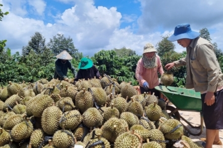 GRDP của tỉnh Đắk Lắk đứng đầu khu vực Tây Nguyên