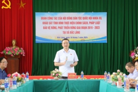 Lạng Sơn: Hội đồng Dân tộc Quốc hội khảo sát tình hình thực hiện chính sách, pháp luật về rừng tại huyện Đình Lập