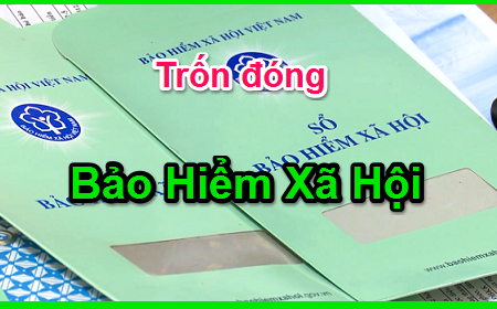 Phó Thủ tướng Lê Minh Khái yêu cầu xử lý phản ánh về việc doanh nghiệp chậm đóng, trốn đóng bảo hiểm xã hội