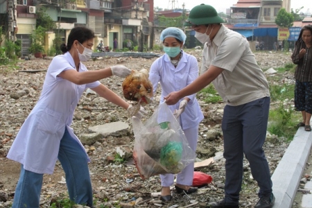 Hải Phòng: Ghi nhận 140 ổ dịch sốt xuất huyết mới