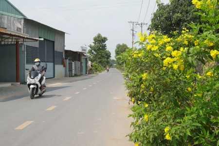 Long An đấu thầu tìm nhà đầu tư cho dự án hơn 11.000 tỷ đồng.