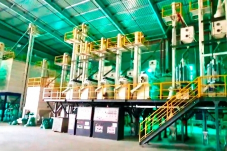Hải Dương sắp đưa vào hoạt động dây chuyền chế biến gạo xuất khẩu đầu tiên