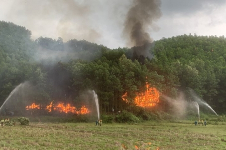 Nguy cơ cao xảy ra cháy rừng tại các huyện Sơn Động, Lục Nam, Lục Ngạn