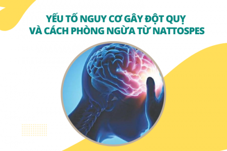 Yếu tố nguy cơ gây đột quỵ và cách phòng ngừa từ Nattospes