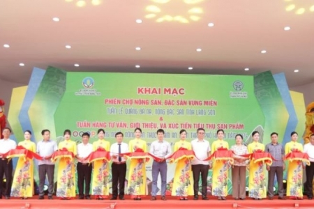 Khai mạc tuần lễ quảng bá na, nông đặc sản Lạng Sơn tại Hà Nội năm 2024