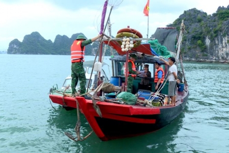 Chống khai thác hải sản trái phép trên Vịnh Hạ Long