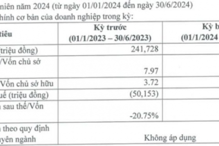 Đầu tư Phú Thịnh Phát: Tình hình kinh doanh bết bát, nợ phải trả gấp 13,4 lần vốn chủ sở hữu