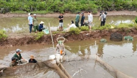 Nam Định: Người dân đồng thuận bàn giao mặt bằng cho Công ty CP Xuân Thiện