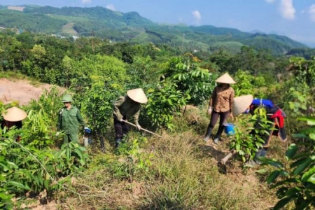 Huyện Ba Chẽ: Nỗ lực bảo vệ môi trường