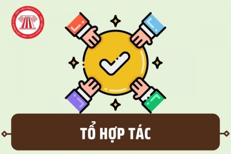 Thủ tục chấm dứt hoạt động tổ hợp tác trên môi trường điện tử