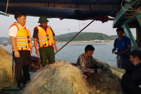 Bộ đội biên phòng Quảng Ninh chủ động ứng phó bão Yagi