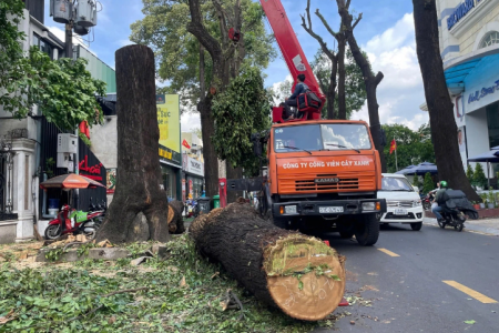 TP. Hồ Chí Minh ứng phó bão số 3, gây mưa to, gió giật mạnh