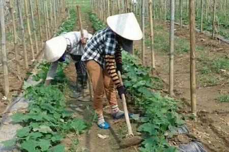 Xã Sào Báy (Kim Bôi, Hòa Bình): Khai thác có hiệu quả những tiềm năng, thế mạnh và nội lực để phát triển