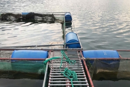 Người nuôi trồng thuỷ sản chủ động gia cố lồng bè, diện tích nuôi trồng ứng phó với bão số 3