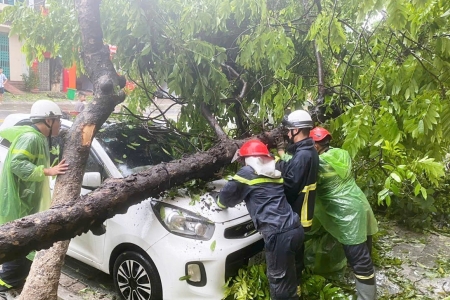 Bắc Ninh: Dốc sức khẩn trương khắc phục thiệt hại sau bão