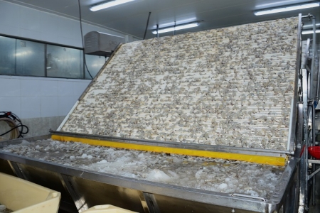 Cà Mau dự kiến hỗ trợ từ 63 doanh nghiệp nhỏ và vừa trong năm 2025