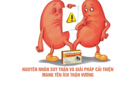 Nguyên nhân suy thận và giải pháp cải thiện mang tên Ích Thận Vương
