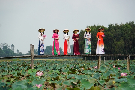 Đồng Tháp triển khai mô hình du lịch trải nghiệm sinh thái nông nghiệp gắn bảo tồn di sản văn hóa