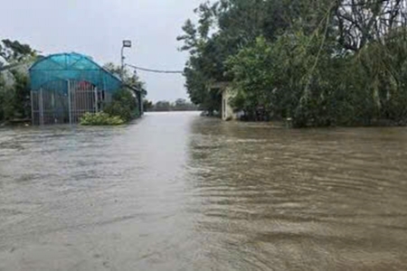 Hải Dương di chuyển tài sản ngoài bãi sông, trên sông đến nơi an toàn