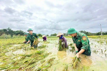 Vĩnh Phúc: Bộ đội biên phòng giúp dân thu hoạch lúa