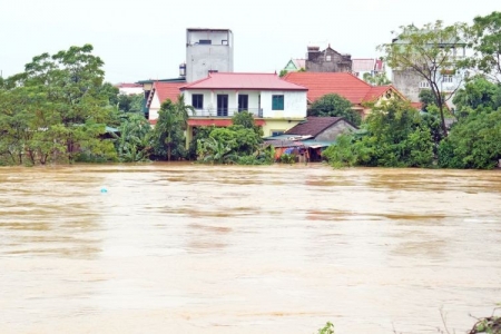 Vĩnh Phúc: Rút báo động III trên sông Phó Đáy