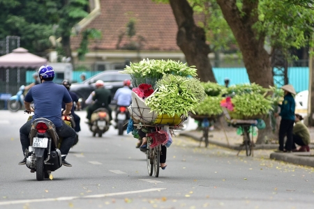 Thời tiết ngày 13/10: Bắc Bộ đón nắng, Tây Nguyên và Nam Bộ mưa dông