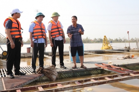 Bắc Ninh: Sở Công Thương hỗ trợ kết nối, tiêu thụ sản phẩm cá lồng cho các hộ dân tại huyện Lương Tài