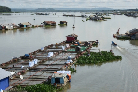 Cảnh báo nguy cơ lũ trên sông La Ngà và sông Đồng Nai