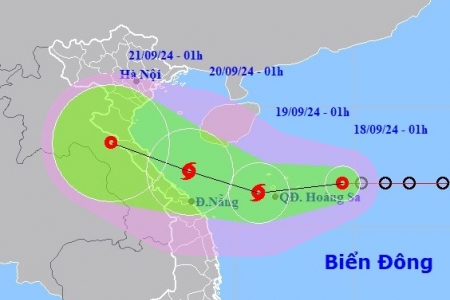 Quảng Bình tạm dừng hoạt động đánh bắt trên biển từ 0h ngày 19/9