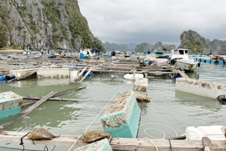 Quảng Ninh: Triển khai thực hiện chính sách khoanh nợ cho khách hàng vay vốn bị thiệt hại do cơn bão số 3