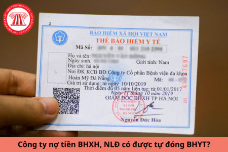 Công ty đang nợ tiền BHXH, người lao động có thể tự đóng BHYT không?