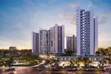 Công ty TNHH Western City bị cưỡng chế dừng thủ tục hải quan