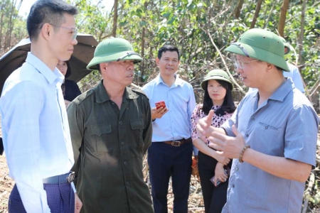 Huyện Bình Liêu cần chuyển đổi cơ cấu cây trồng để phát huy hiệu quả đất đai