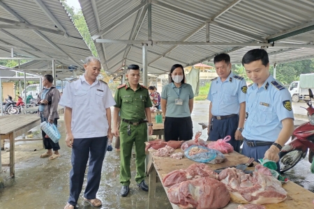 Lào Cai: Tăng cường kiểm tra, kiểm soát, phòng chống dịch tả lợn Châu Phi trên địa bàn huyện Mường Khương