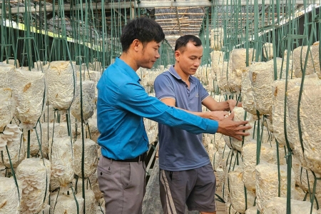 Bắc Giang: Đa dạng phương thức hỗ trợ người dân tiếp cận thông tin gắn với chuyển đổi số