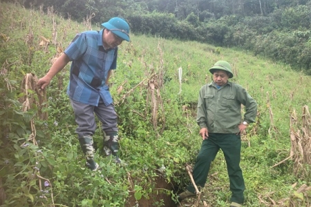 Lào Cai: Khó khăn trong tìm kiếm khu tái định cư an toàn cho người dân vùng nguy cơ sạt lở đất