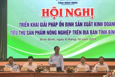 Bình Định triển khai giải pháp ổn định sản xuất kinh doanh, tiêu thụ sản phẩm nông nghiệp