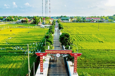 Xác định chi phí chung công trình nông nghiệp thế nào?