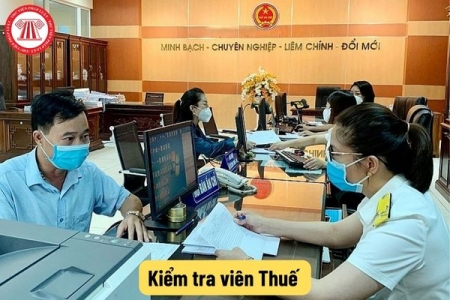 Có bằng cao đẳng và chứng chỉ kế toán trưởng đăng ký kiểm tra viên thuế được không?